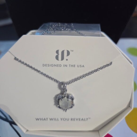 RBP8221 PERFECTION IN ONE - Picture 1 of 2